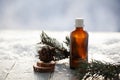 pine aroma oil extract natural in cosmetic bottles aromatherapy on winter snowy background Royalty Free Stock Photo