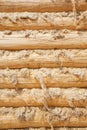 Pine balk wall