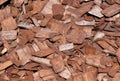 A pine bark mulch background Royalty Free Stock Photo