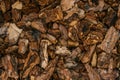 Pine bark mulch