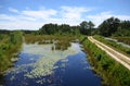 Pine Barrens Pool