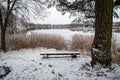 Pine and bench by the lake on a snowy winter day Royalty Free Stock Photo