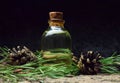 Pine aroma oil bio organic Royalty Free Stock Photo