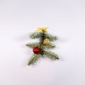 Pine branch with Christmas baubles and ornamental ribbon