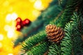 Pine branch with cone on blurred golden background with red balls. Christmas holidays and New Year theme decoration. Royalty Free Stock Photo