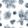 Engraved Pine Branch Seamless Pattern. Cedar Twig with cones. Engraved Vector Illustration. Royalty Free Stock Photo