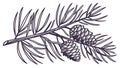 Pine Branch with Miniature Pinecones, vector design Generative AI Royalty Free Stock Photo