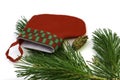 pine branch pine cone and santa claus stocking on a white background Royalty Free Stock Photo