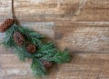 Pine branch with pine cones on rustic wood background