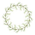 Pine branch wreath. Festive round seasonal decoration. Watercolor illustration. Christmas green holiday wreath. Winter