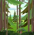 Pine branches in coniferous forest. Beautiful summer landscape with trees. Green pines and ate. Illustration in cartoon Royalty Free Stock Photo