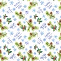 Pine branches, mistletoe, snow flakes, winter quotes about snow. Seamless pattern, watercolor Royalty Free Stock Photo