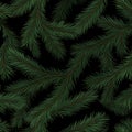 Pine Branches Seamless Pattern Royalty Free Stock Photo