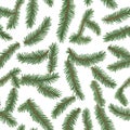 Pine Branches Seamless Pattern Royalty Free Stock Photo
