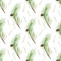 Pine branches seamless pattern. Royalty Free Stock Photo
