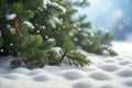 Pine branches in the snow on a new morning The coldness of winter