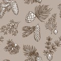Pine branches of trees and cones seamless pattern isolated on white background vector. Royalty Free Stock Photo