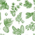 Pine branches of trees and cones seamless pattern Royalty Free Stock Photo