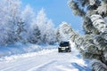 branches of pine or cedar covered with frost from severe frost in the distance a car and a lot of snow, selective focus Royalty Free Stock Photo