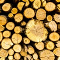 Pine chopped firewood stacked in woodpile. Textured background Royalty Free Stock Photo