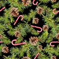 Pine christmas tree branches, candycane. Seamless pattern. Watercolor