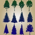 Pine collection