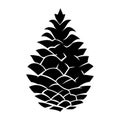 Pine cone black vector icon on white background Royalty Free Stock Photo