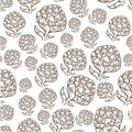 Pine cone botanic plant, monochrome sketch seamless pattern Royalty Free Stock Photo