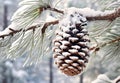 a pine cone on a branch with snow