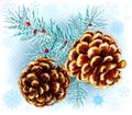 Pine cone, branch and snowflakes Royalty Free Stock Photo