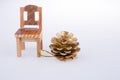 Pine cone bye the side of a little model chair