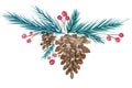 Pine cone with cedar twig and red holly berry using watercolor for Christmas decoration with clipping path for winter design purpo Royalty Free Stock Photo