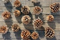 Pine cone, Christmas, pinecone, xmas