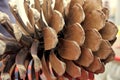 Pine cone closeup Royalty Free Stock Photo