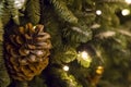 Pine cone covered with snow christmas tree branch glowing garland new year christmas