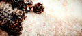 Pine cone decoration on fake snow Royalty Free Stock Photo