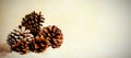 Pine cone decoration on fake snow Royalty Free Stock Photo