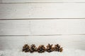 Pine cone decoration on fake snow Royalty Free Stock Photo