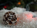 Pine cone on decorative snow under a Christmas tree Royalty Free Stock Photo