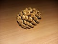 Pine cone on the desk