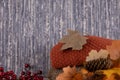 Pine cone, dry branches with red berries at bottom with two sweaters, maple leaf on blue background Royalty Free Stock Photo