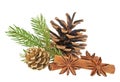Pine cone, fir tree branch, cinnamon sticks and anise stars on white background. Christmas decorations Royalty Free Stock Photo