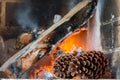 Pine cone on a fire background Royalty Free Stock Photo