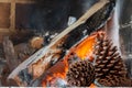 Pine cone on a fire background Royalty Free Stock Photo