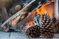 Pine cone on a fire background Royalty Free Stock Photo