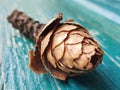 Pine cone on a green wooden background.