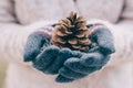 Pine cone in hand. Woman in gloves holding a fir cone.