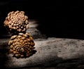 Pine cone on an isolated background with a picture of the structure of the cone Royalty Free Stock Photo