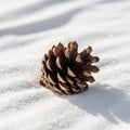 A pine cone rests on a Royalty Free Stock Photo