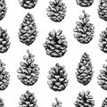 Pine cone seamless pattern. Botanical hand drawn vector backgro Royalty Free Stock Photo